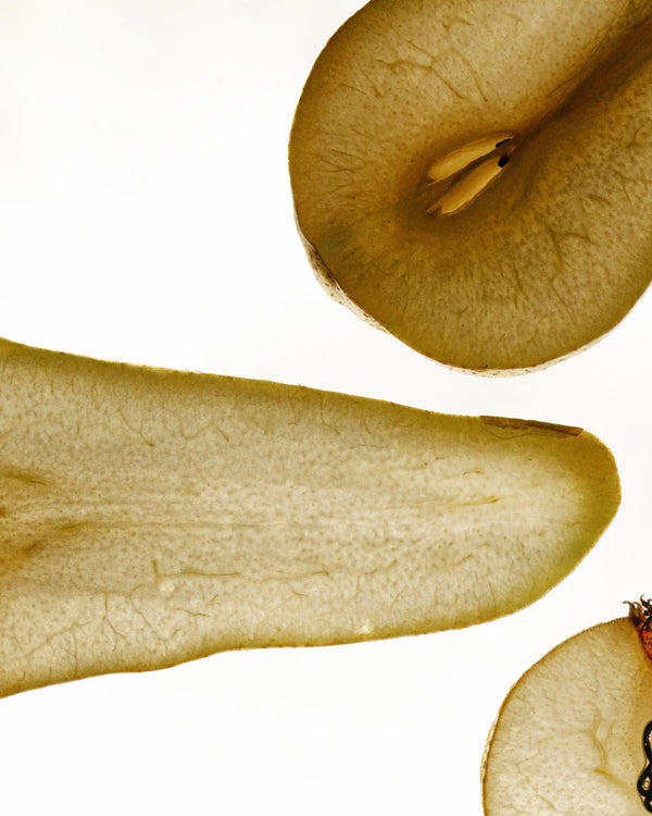 Das Zusammenspiel von Östrogen, Emotion & Parfum