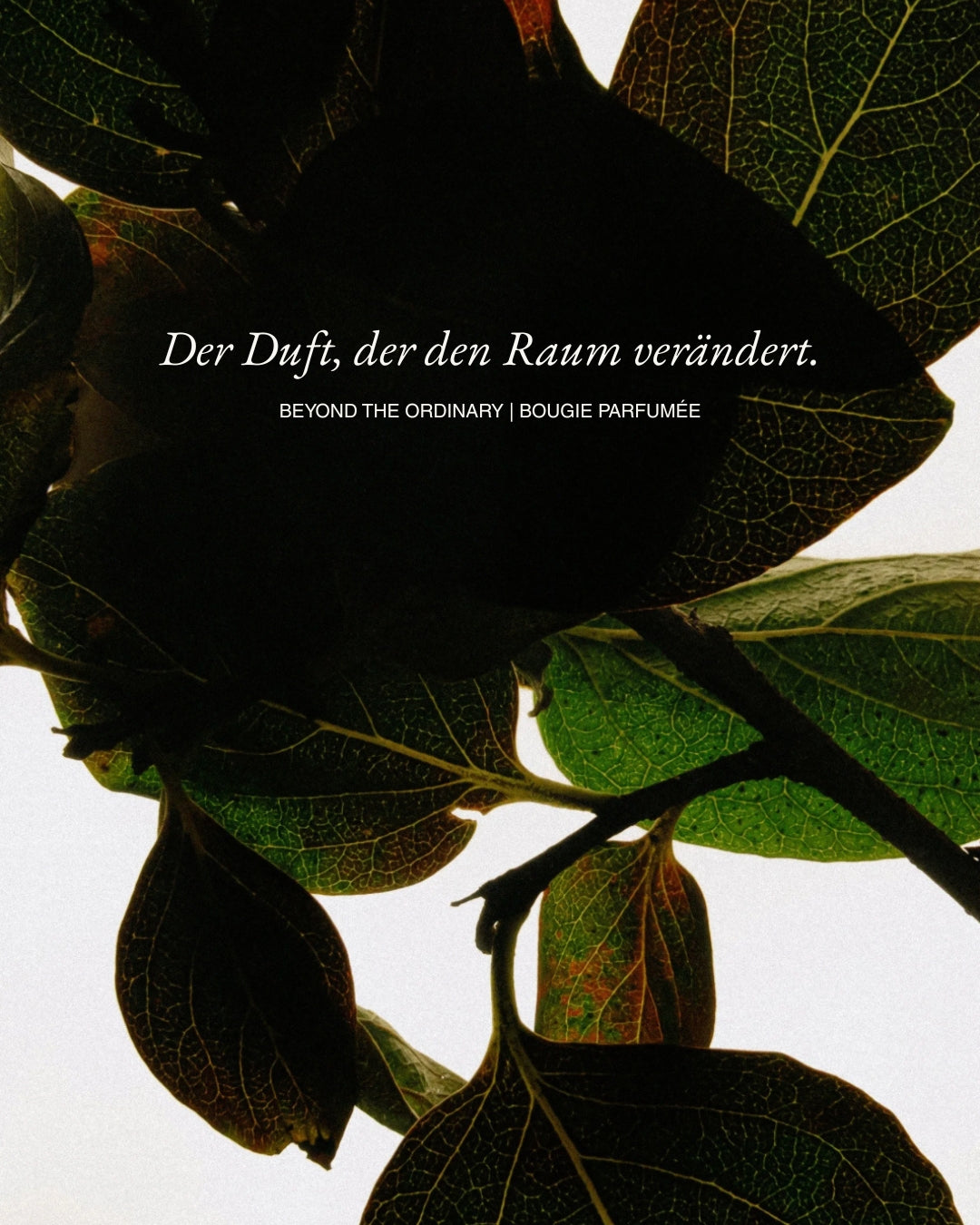 Komplettes Parfum Set