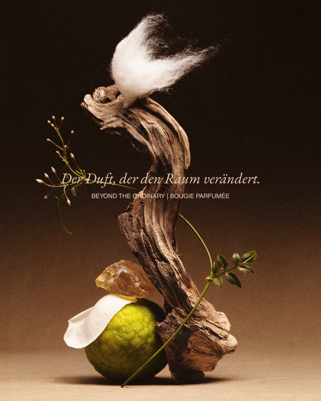 beyond the ordinary | The Scented Candle