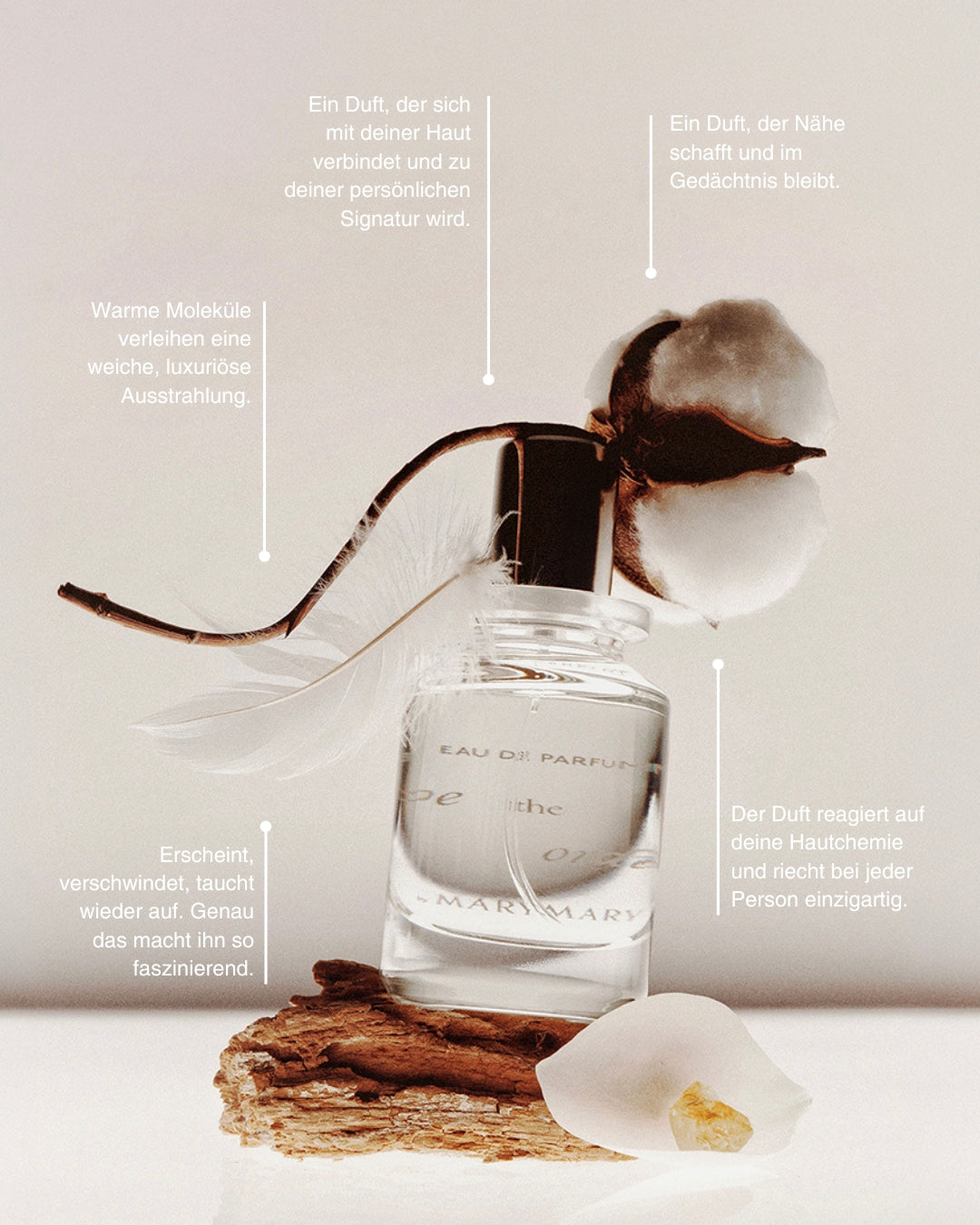 Escape the Ordinary | The Bottle