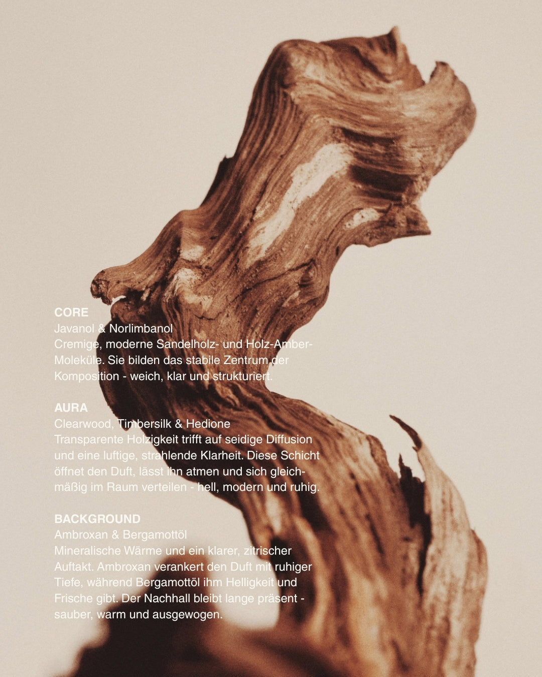 Beyond the Ordinary | The Scented Candle