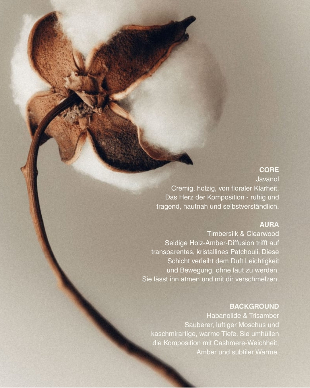 Escape the Ordinary | The Bottle