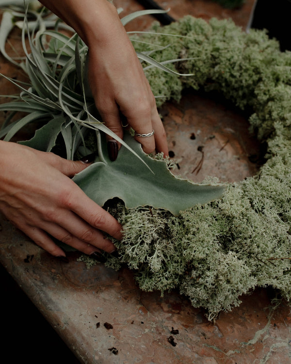 Step 03 Grün & Struktur integrieren