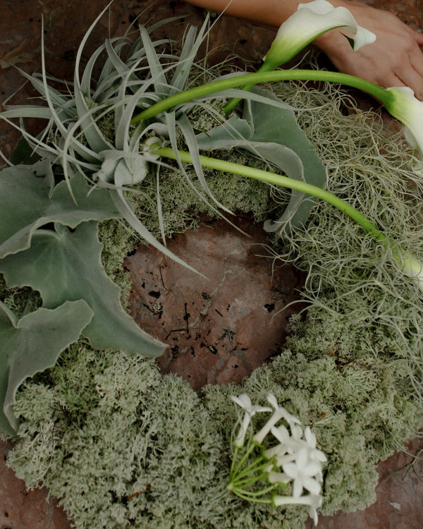 Step 04 Forale Highlights