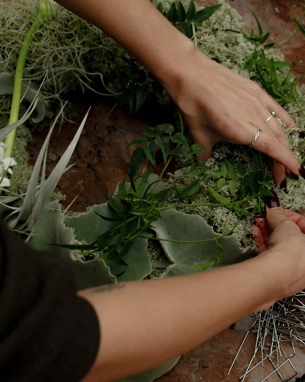 Step 05 Jasminranken drapieren